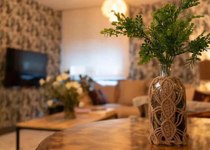 唐迭戈酒店 3* 苏安塞斯