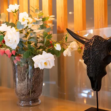 Don Diego ホテル 3*