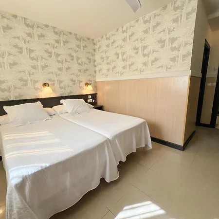 Don Diego スアンセス